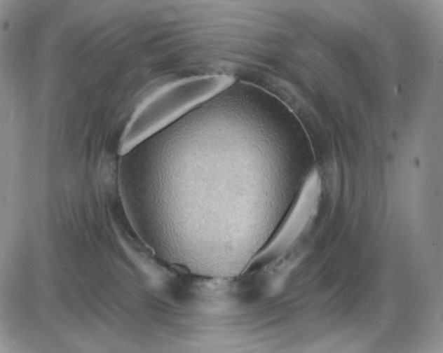 X0000085300092200703231909