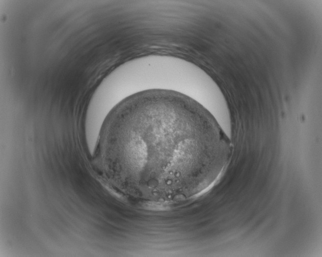 X0000085300094200703231909