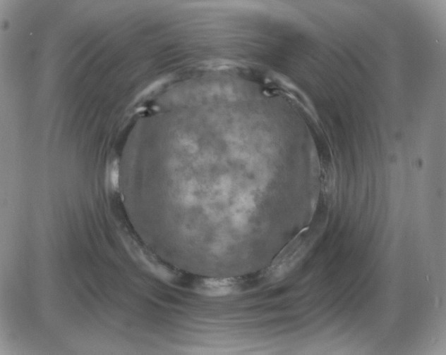 X0000085300095200703231909