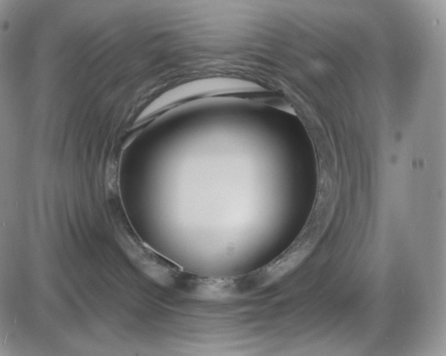 X0000085300096200703231909