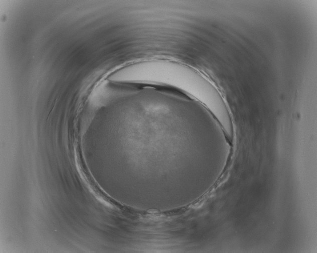 X0000085300097200703231908