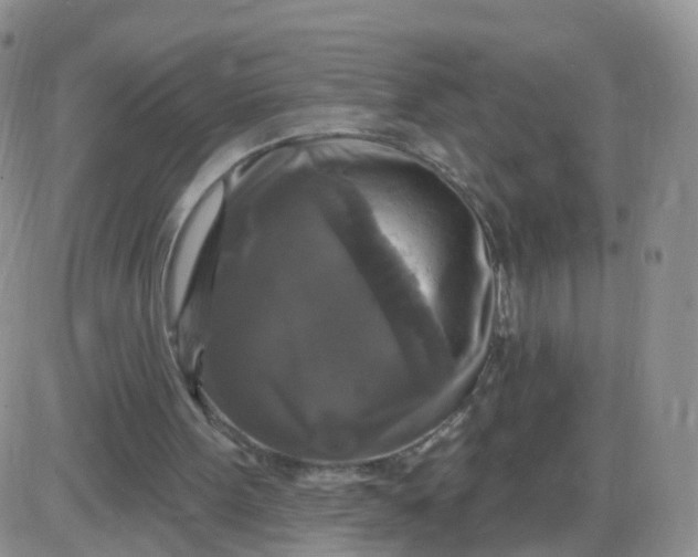 X0000085300099200703231908