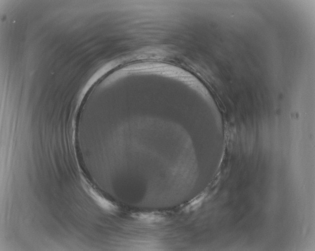 X0000085300100200703231908