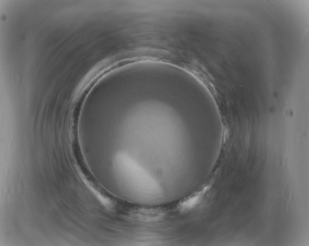 X0000085300101200703231908