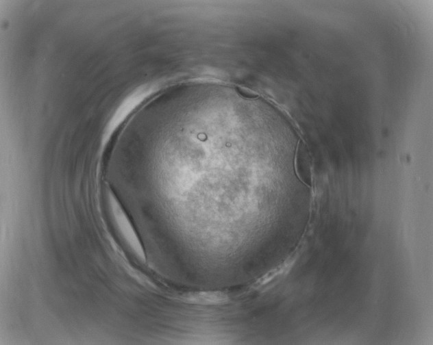 X0000085300102200703231908