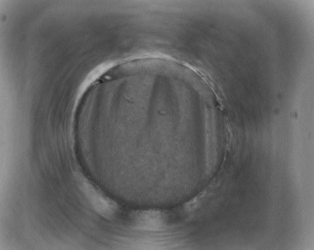 X0000085300104200703231908