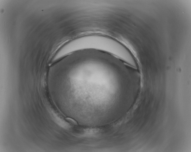 X0000085300105200703231908