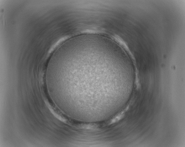 X0000085300106200703231908