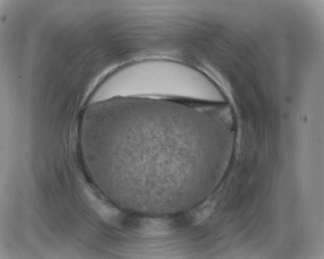 X0000085300107200703231908