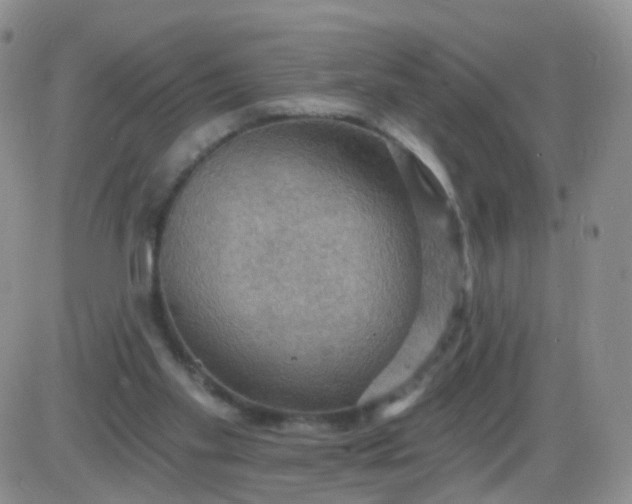 X0000085300109200703231908