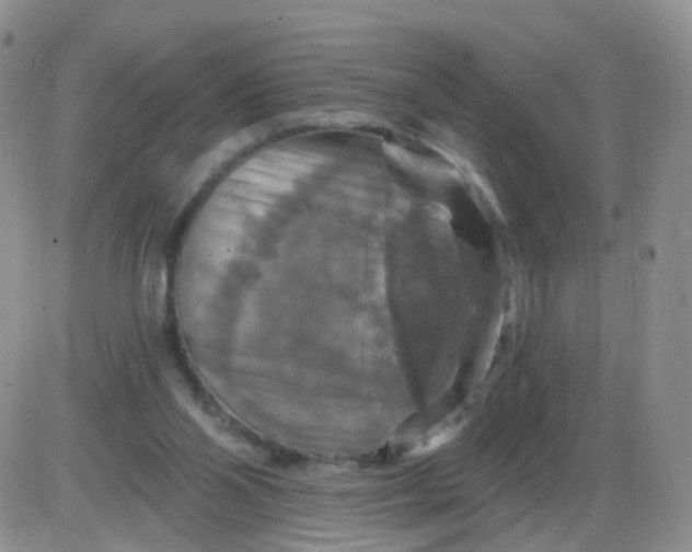 X0000085300110200703231908