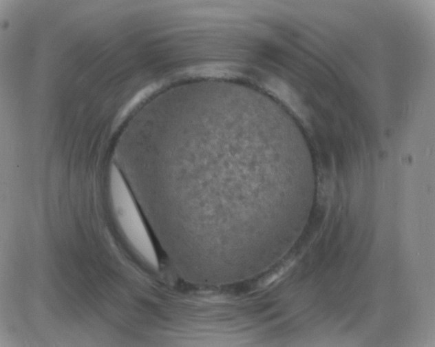 X0000085300111200703231908