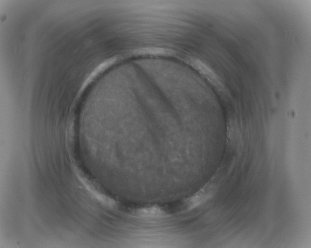 X0000085300112200703231908