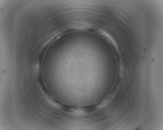 X0000085300113200703231908