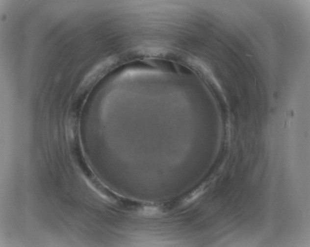 X0000085300114200703231908