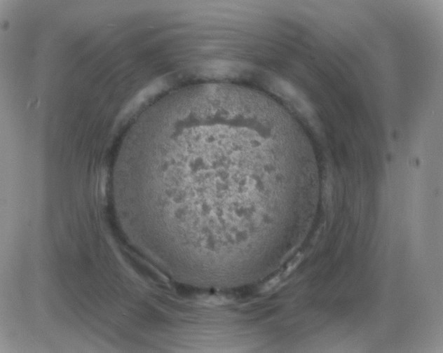 X0000085300115200703231908