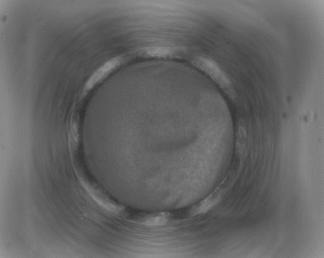 X0000085300116200703231908