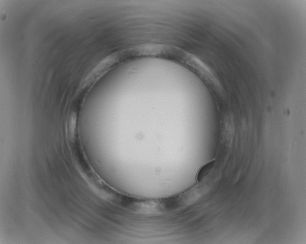 X0000085300118200703231908