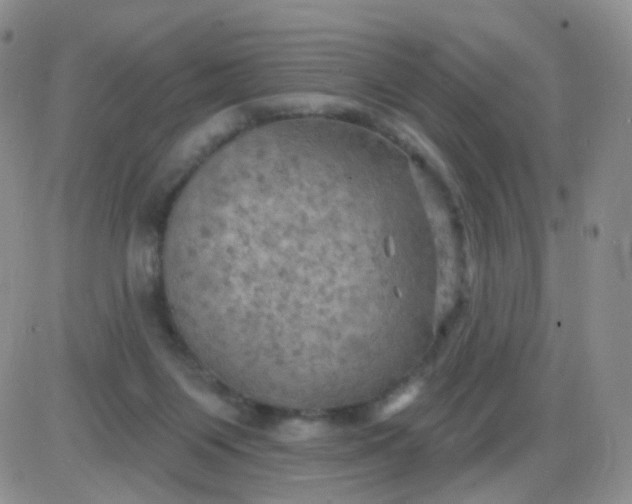 X0000085300119200703231908