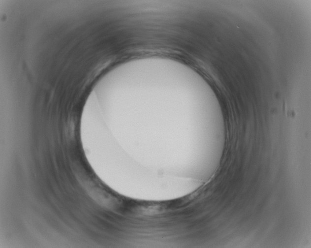 X0000085300120200703231908