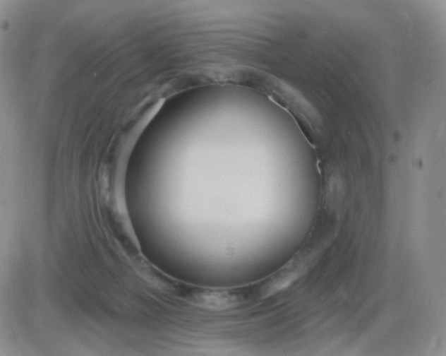 X0000085300121200703231908