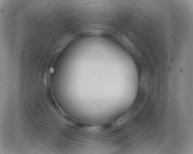 X0000085300122200703231908