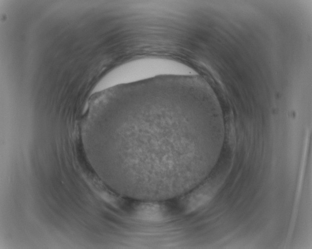 X0000085300123200703231908