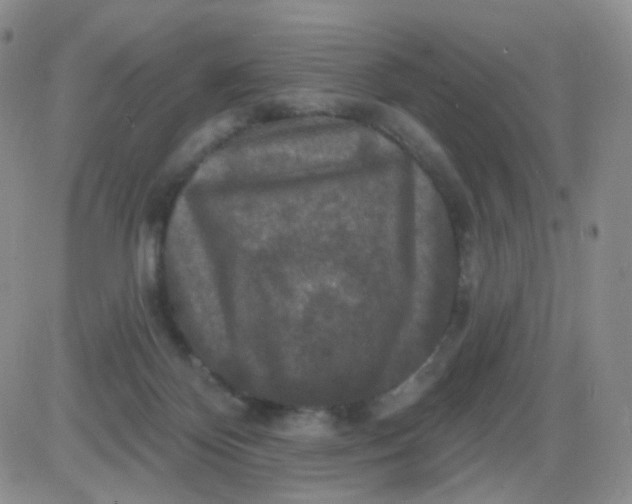 X0000085300124200703231908