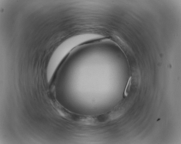 X0000085300125200703231908