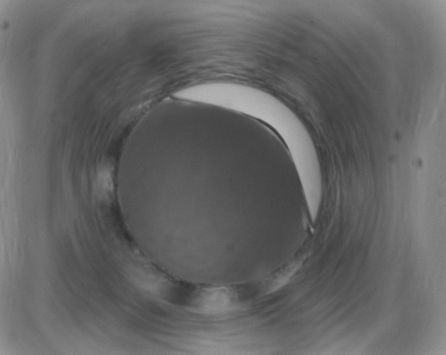 X0000085300127200703231908