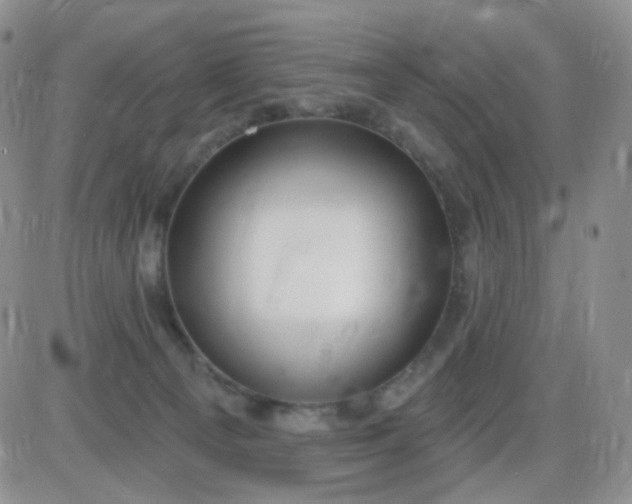 X0000085300129200703231908