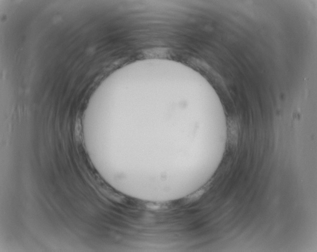 X0000085300130200703231908