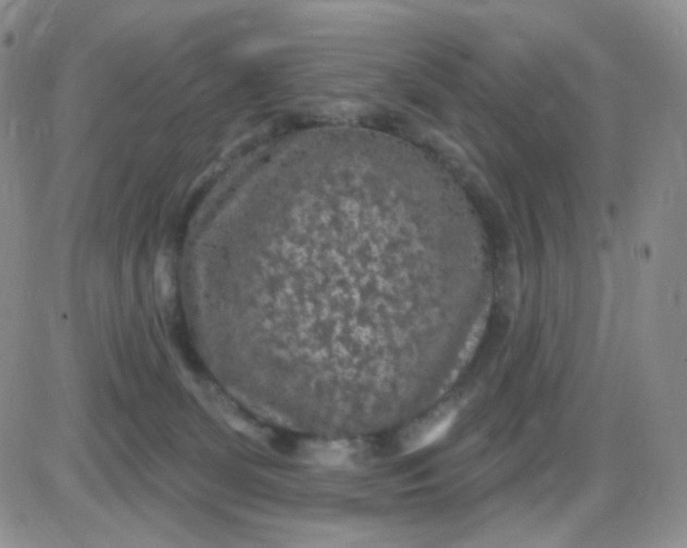 X0000085300131200703231908