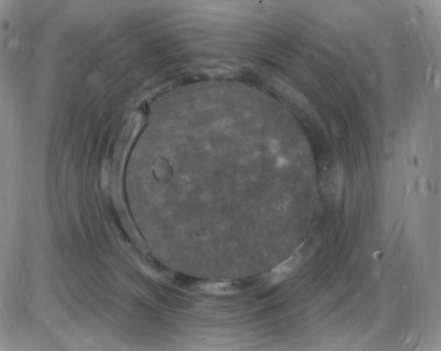 X0000085300132200703231908