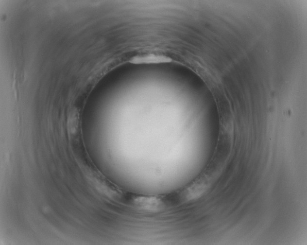 X0000085300133200703231908