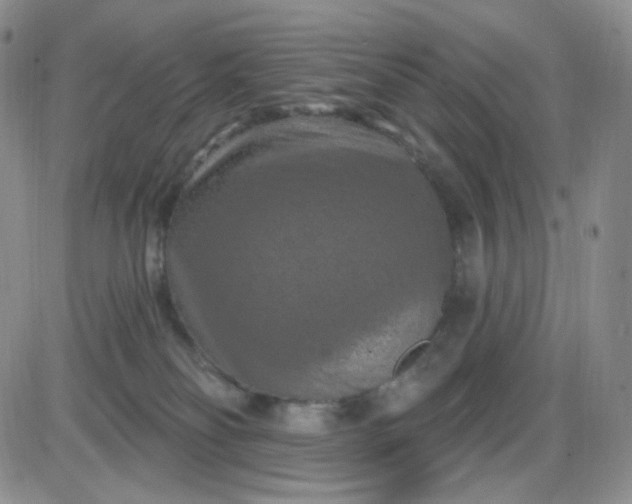 X0000085300134200703231908