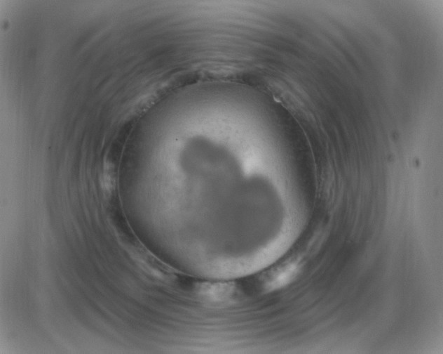 X0000085300135200703231908