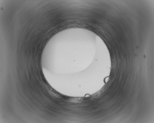 X0000085300136200703231908