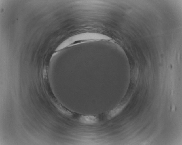 X0000085300137200703231908