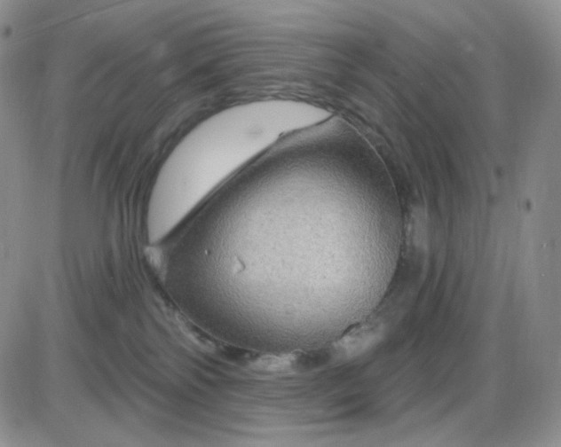 X0000085300138200703231908