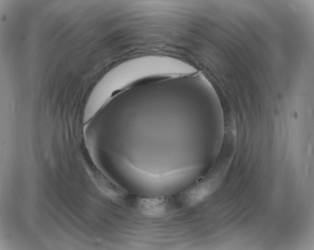 X0000085300139200703231908