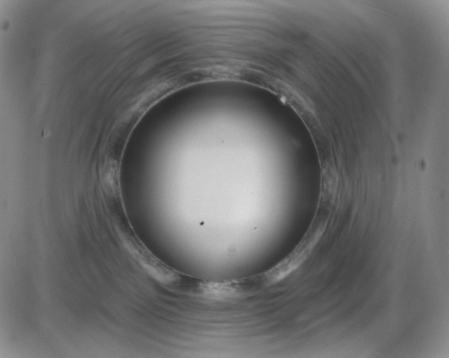 X0000085300141200703231908