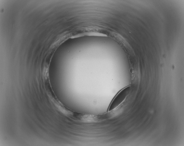 X0000085300142200703231908