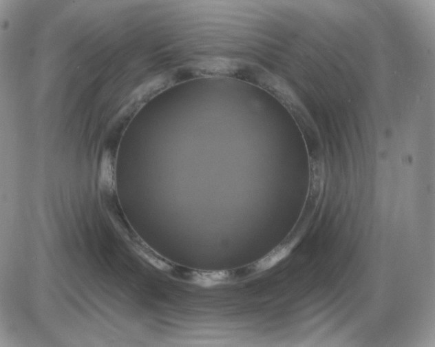 X0000085300143200703231908