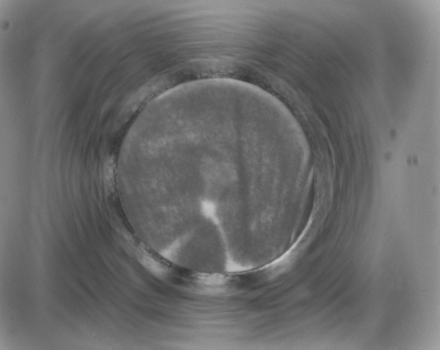 X0000085300144200703231908