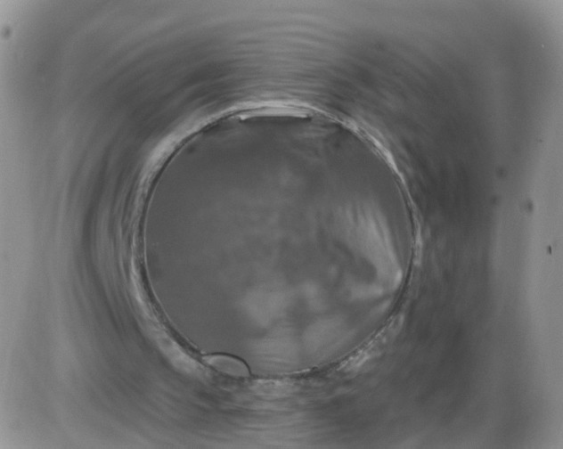 X0000085300145200703231907