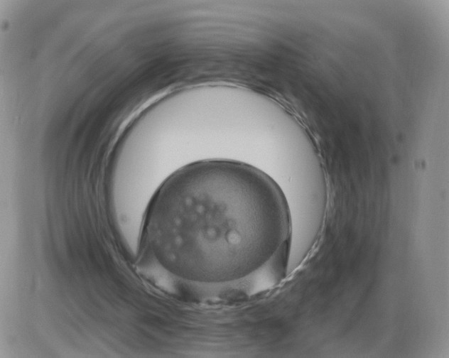 X0000085300146200703231907