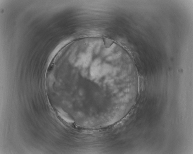 X0000085300147200703231907