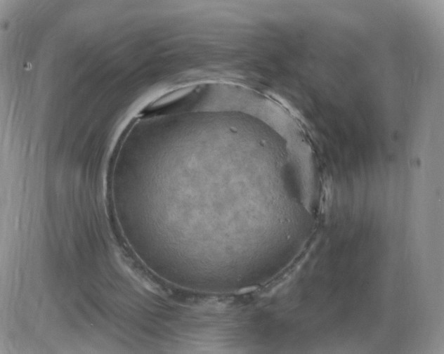 X0000085300148200703231907