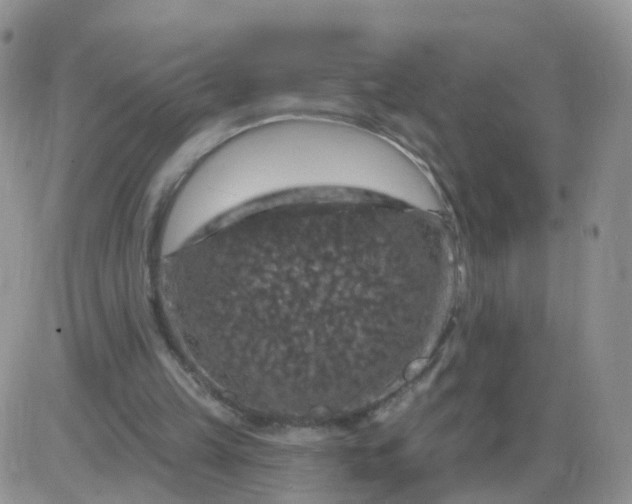 X0000085300149200703231907